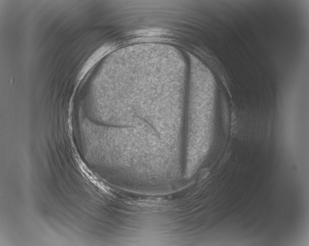 X0000085731386200703301350