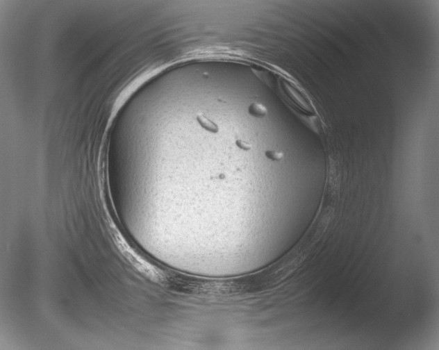 X0000085731387200703301350