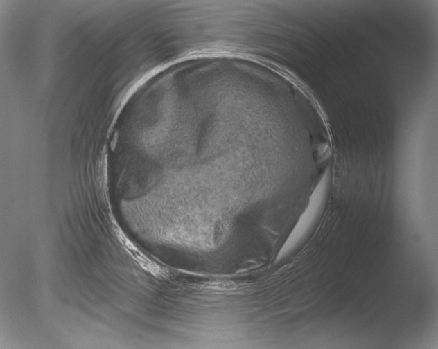 X0000085731388200703301350