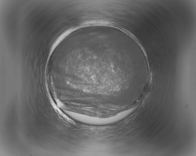 X0000085731389200703301350