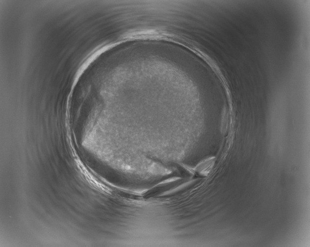 X0000085731392200703301350