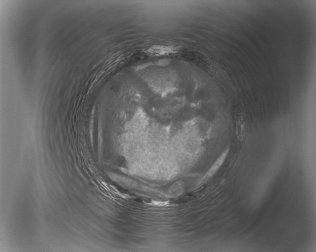 X0000085731393200703301349