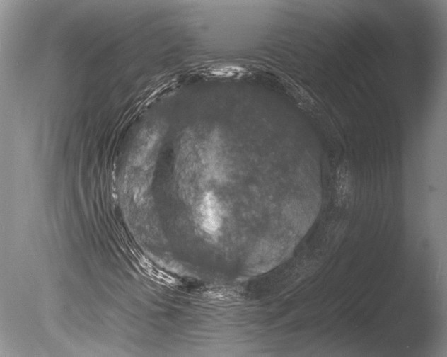 X0000085731394200703301349