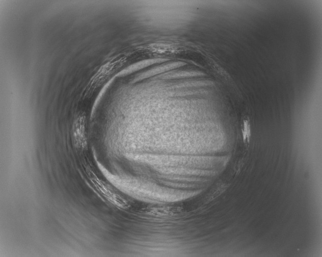 X0000085731396200703301349