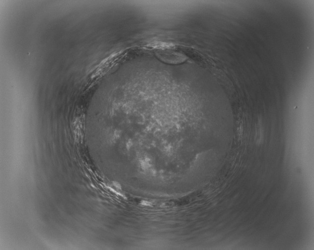 X0000085731397200703301349