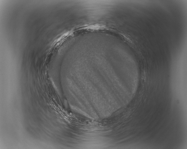 X0000085731398200703301349