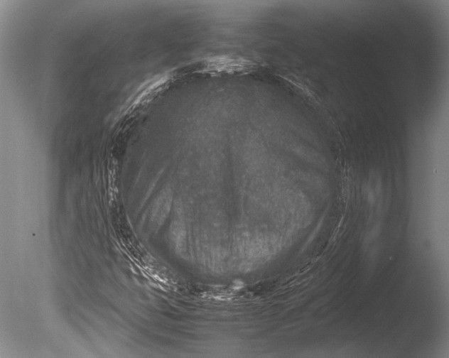 X0000085731399200703301349