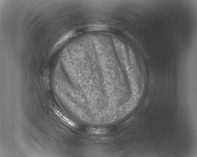 X0000085731403200703301349