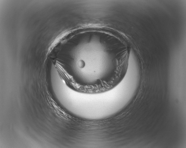 X0000085731406200703301349