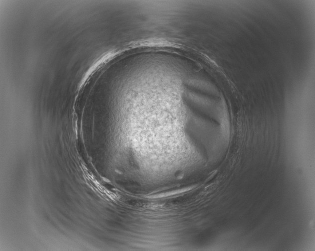 X0000085731408200703301349