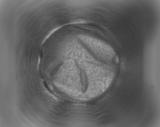 X0000085731409200703301349