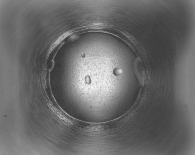 X0000085731410200703301349