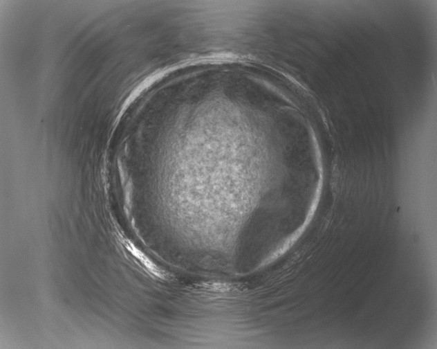 X0000085731412200703301349