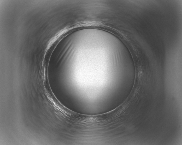 X0000085731414200703301349