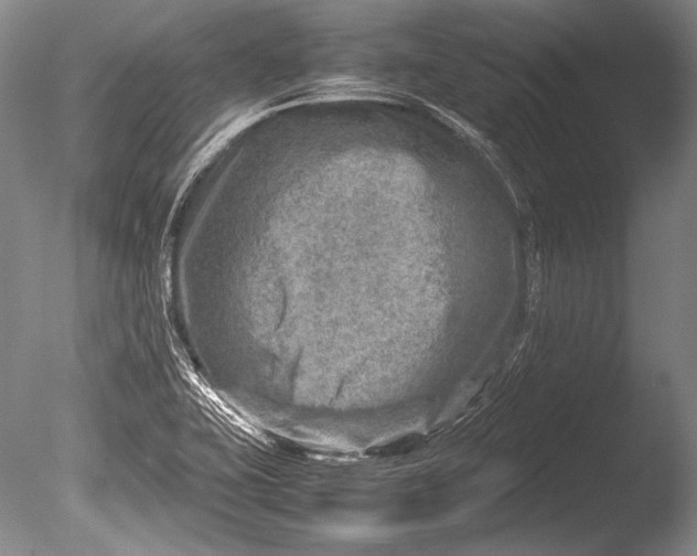 X0000085731415200703301349