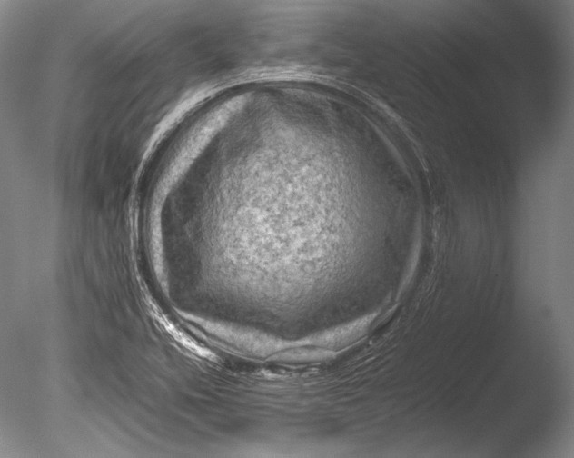 X0000085731416200703301349