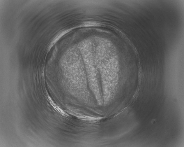 X0000085731417200703301349