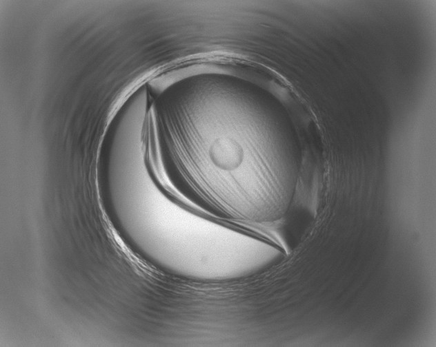 X0000085731418200703301349