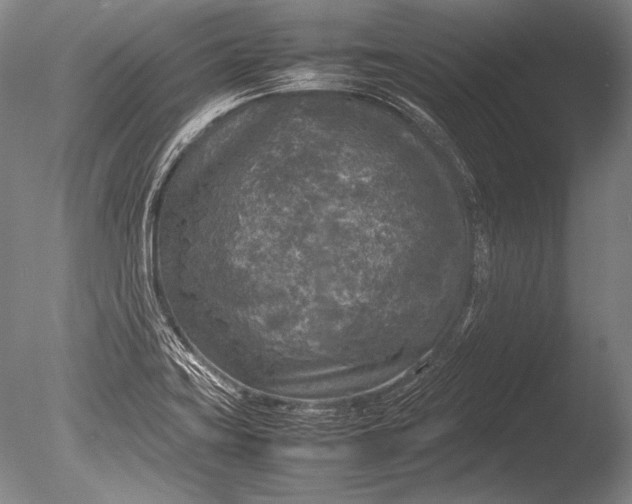 X0000085731419200703301349