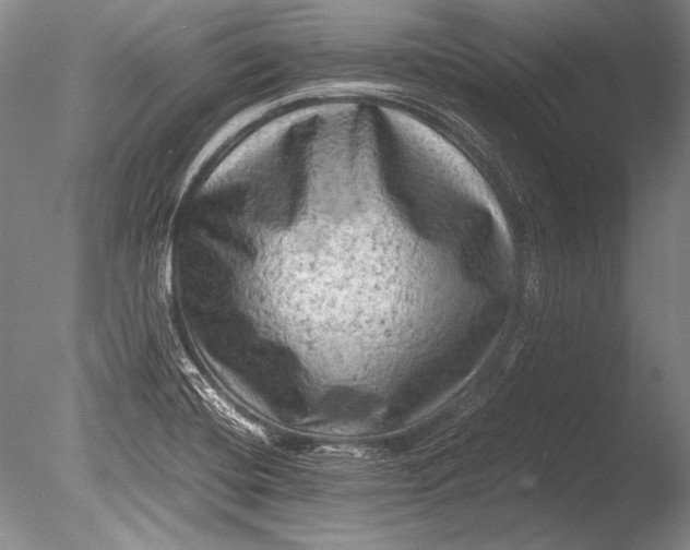 X0000085731420200703301349