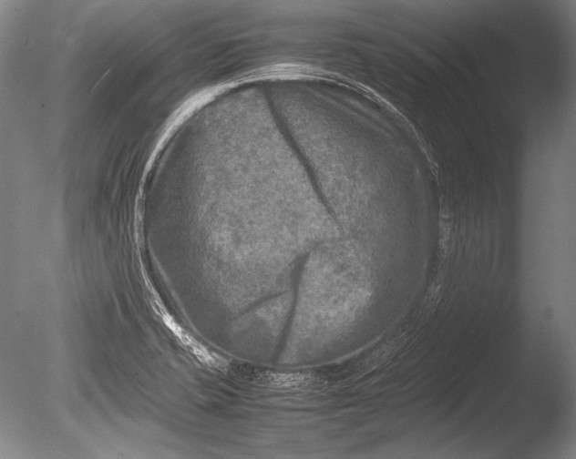 X0000085731421200703301349