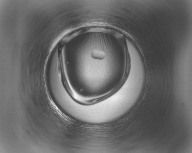 X0000085731422200703301349