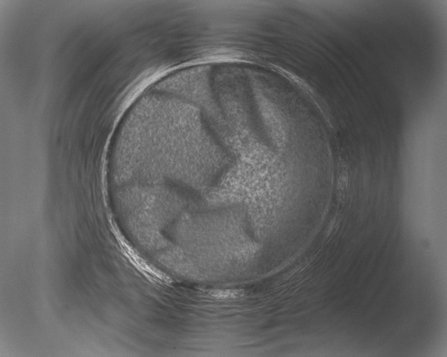 X0000085731423200703301349