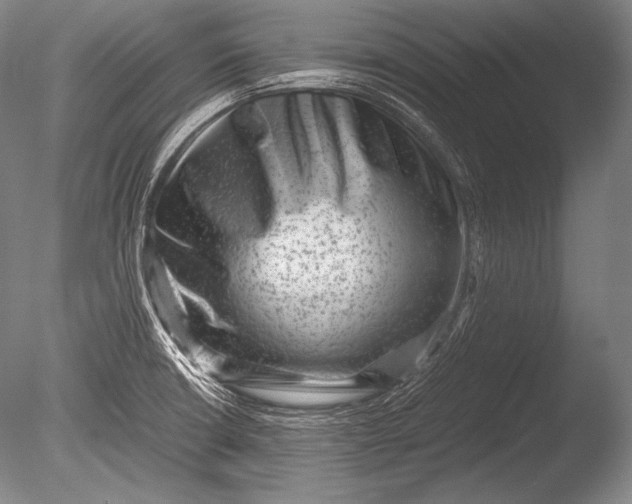 X0000085731426200703301349