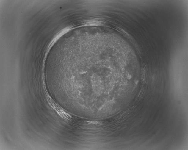 X0000085731427200703301349