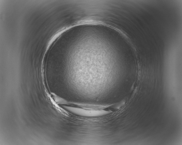 X0000085731430200703301349