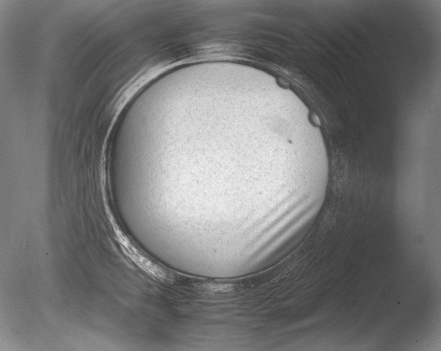 X0000085731431200703301349