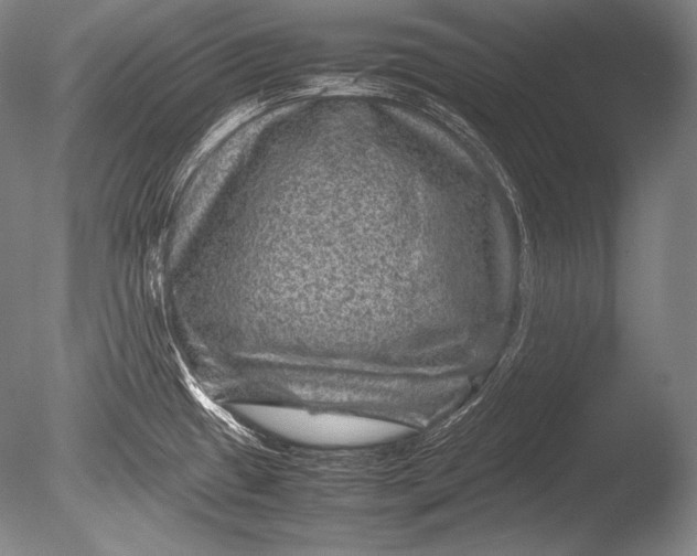 X0000085731433200703301349