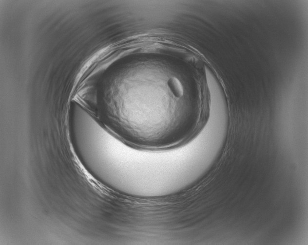 X0000085731434200703301349