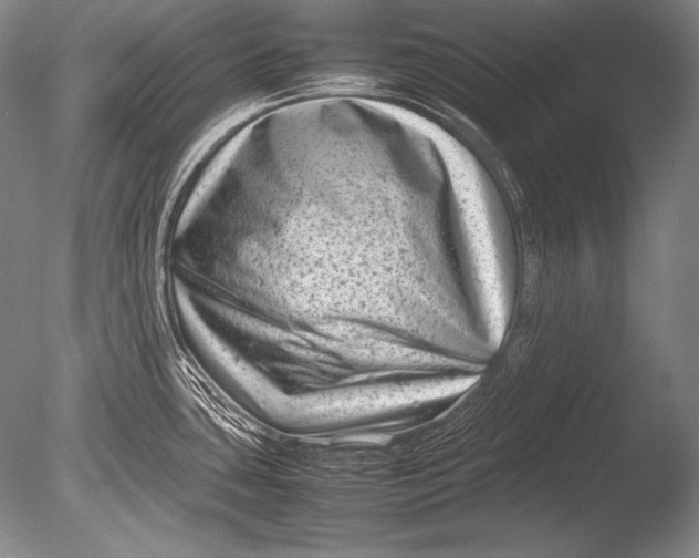 X0000085731435200703301349