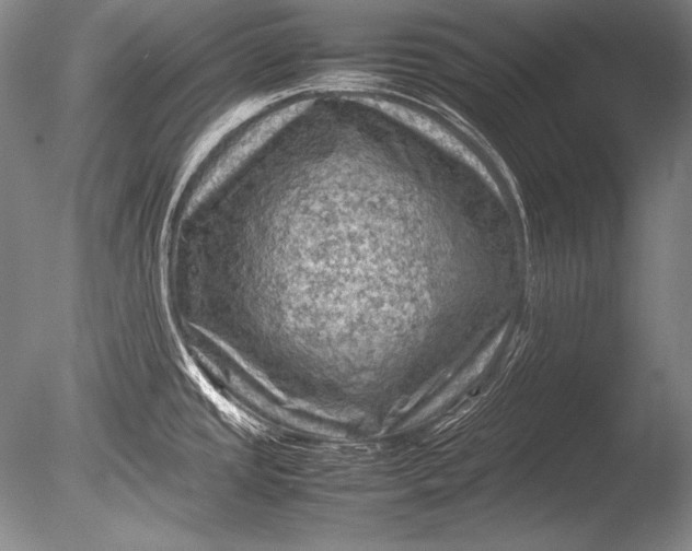 X0000085731437200703301349