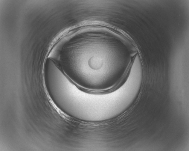 X0000085731438200703301350