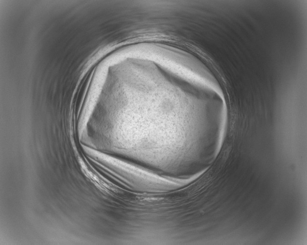 X0000085731439200703301350