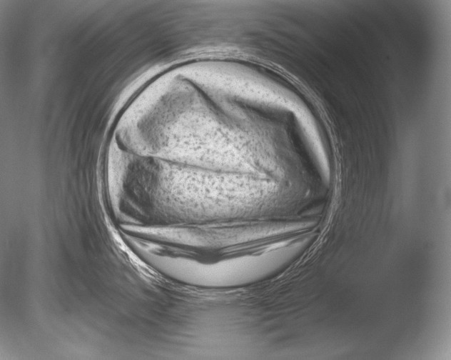 X0000085731440200703301350