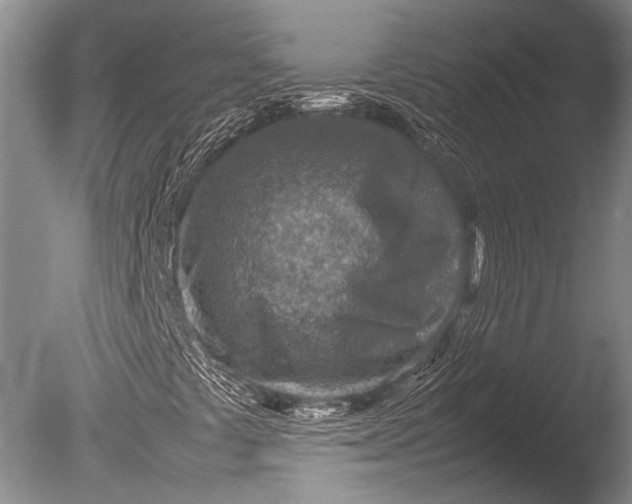 X0000085731441200703301349