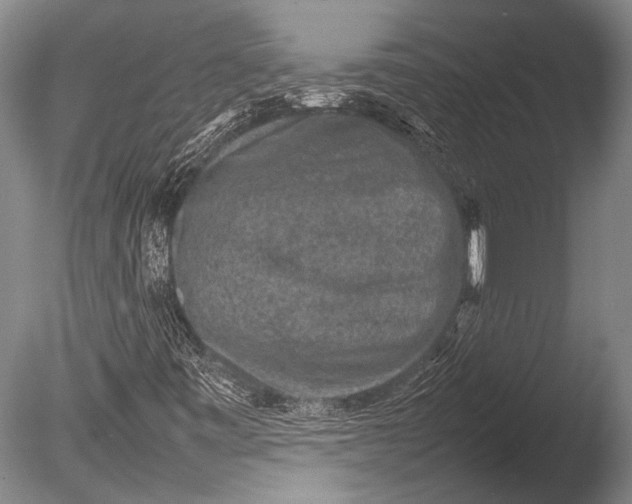 X0000085731443200703301349