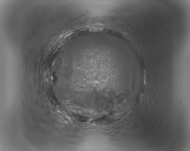 X0000085731445200703301349