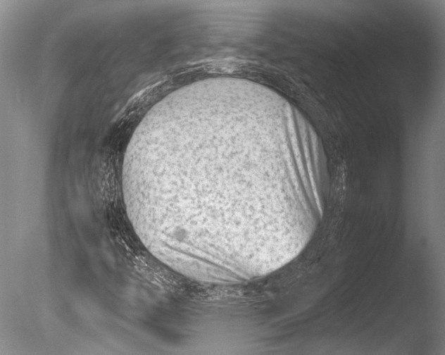 X0000085731446200703301349