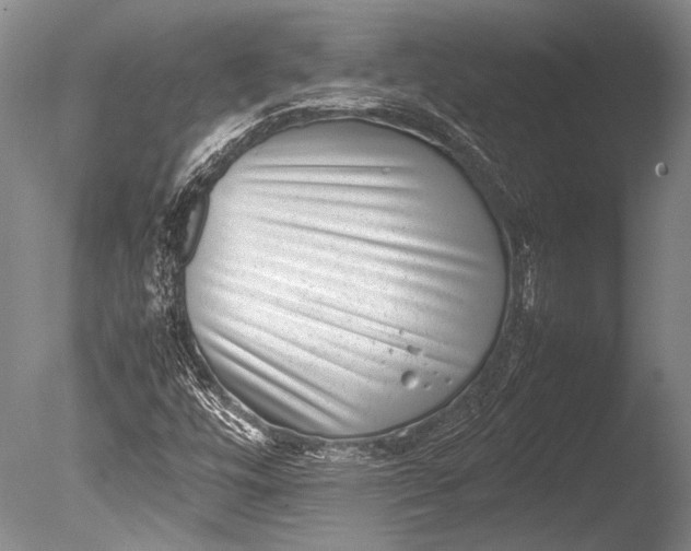 X0000085731448200703301349