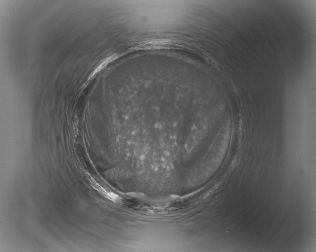 X0000085731449200703301349