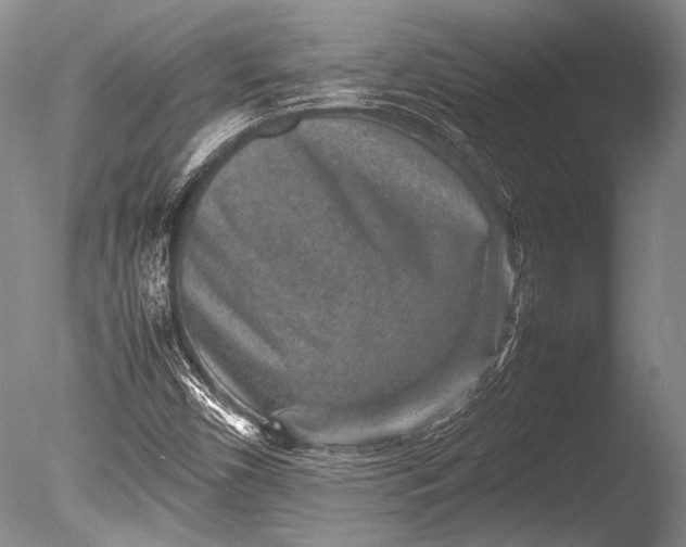 X0000085731450200703301349