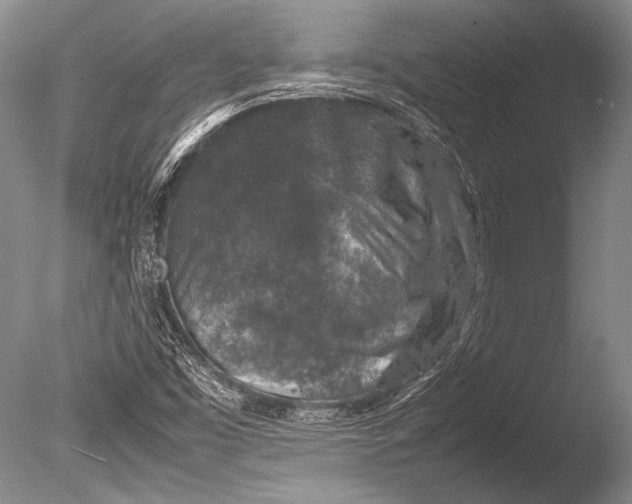 X0000085731453200703301349