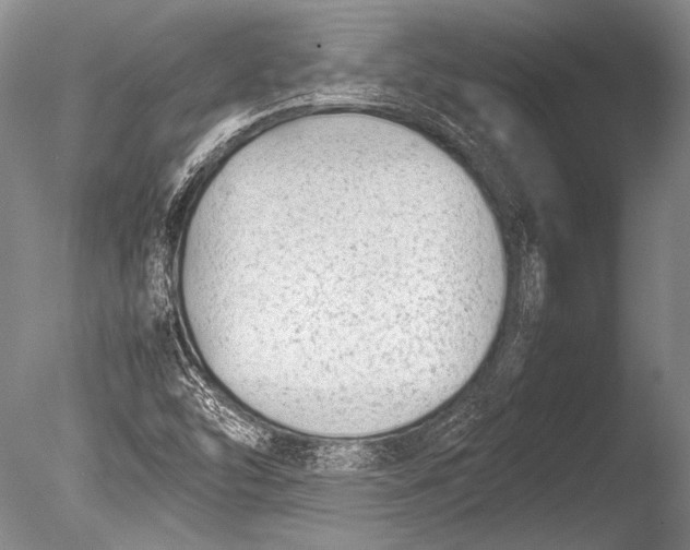 X0000085731454200703301348