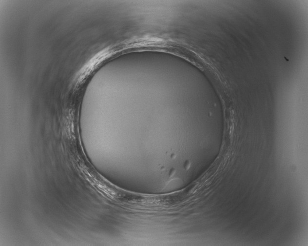 X0000085731455200703301348