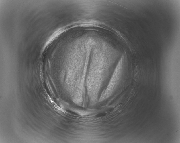 X0000085731456200703301348