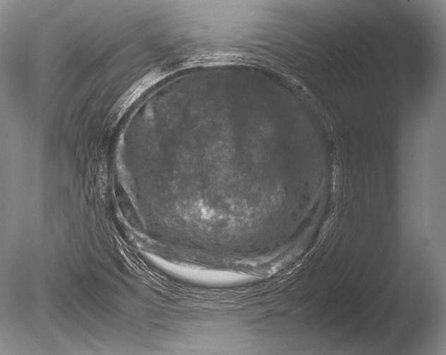 X0000085731457200703301348